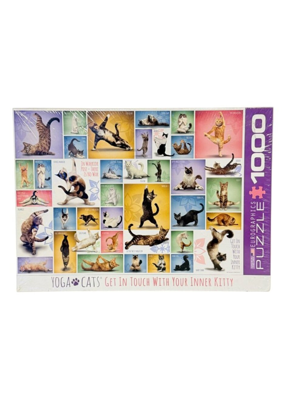 EuroGraphics Yoga Cats 1000 Piece Puzzle Made In USA 19 1/4" x 26 5/8"